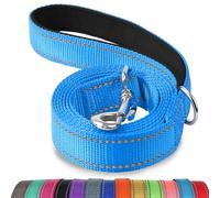 Joytale Laisse Double Face Réfléchissante Robuste pour Chien, avec Poignée Rembourée,1.8m x 2cm,Bleu Ciel