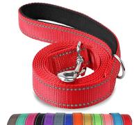Joytale Laisse Double Face Réfléchissante Robuste pour Chien, avec Poignée Rembourée,180 x 2.5cm,Rouge