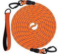 Joytale Longe pour Chien 5m/ 10m/ 15m/ 20m, Poignée Rembourrée, Double Crochets Robustes, Laisse de Dressage pour Chien de Moyen à Grandes Taille (Orange, 20m)