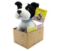 Joytoy Joy Toy 20650 Princesse Maja de Hohenzollern Mickey Adopt me Peluche 18 cm avec Bracelet pour Le Nouveau BFF et Livre de Lecture illustré dans Un Coffret Cadeau Multicolore 12 x 15 x 25 cm