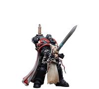 JOYTOY Warhammer 40K Figurines d'action Templiers noirs Primaris Sword Brethren Eberwulf Modèle de collection