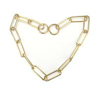 Joyzan Collier Chien Or avec Boucle, Doré Chaîne Maillon Métallique Chiot Résistant Métal Fermoir Mastication Laisse Entraînement Grosse Maille étrangleur Collier Mignon Tendance pour Animal Domestiqu