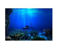 Joyzan Seaworld Aquarium Fond, PVC Adhésif Double Face Affiche Autocollant Fish Tank Décoration HD sous Marin Coral Reef Photos Papier Peint Poisson Mer Murale sous Underwater Monde Paroi(61 * 30cm)