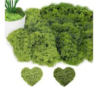 JOZMMZEOOA 100g Mousse Artificielle pour Décorer,2 Couleurs Différentes Mousse Fausse Artificiels Simulation Naturelle Moss Végétale,pour Compositions Florales,Travaux Manuels(Foncé Vert+Clair Vert)