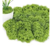 JOZMMZEOOA 200g Mousse Artificielle Decoration,Fausse Mousse Végétale Decorative Doux Mouss D'Islande Décorative Simulation Moss Végétaux Artificiels,pour DIY Aquarium Pot Fleurs Décorer(Vert Clair)