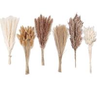 JOZMMZEOOA Fleur Sechees Decoration 120 Pièces Table à La Maison Décoration d'herbe de Pampa Convient pour Mariage Style BohèMe Décoration Florale de Maison, Fête Ferme Rustique