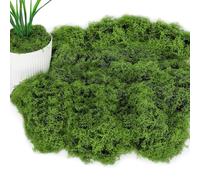 JOZMMZEOOA Mousse Naturelle 100g Mousse Artificielle Decoration Mousse Dislande Fausse Végétale Decorative Simulation Moss Végétaux Artificiels,Doux et Réaliste Réutilisable,Aquarium Déco(Vert Foncé)