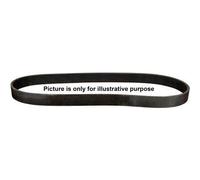 JP Group Courroie trapézoïdale d'entraînement 1218105300