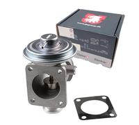 JP Group Soupape EGR 1419900200 pour BMW E46/E39/E38/X5 (E53) 3.0d 4/6 cylindres Diesel