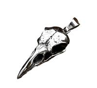 JPXXFM ACCESSOIRES FILLES Collier Crow Silver Silver Silver For Men Women, Punk Rock Raven Collier - Crow Head Bird Pendant, Animal Crow Raven Charm Bijoux pour Halloween Anniversaire de Noël