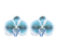 JQQJZLC Boho 3D Fleur Boucles d'oreilles pour Femmes exagérées Grande BATTERFLY Orchid Flora Comment