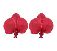 JQQJZLC Boho 3D Fleur Boucles d'oreilles pour Femmes exagérées Grande BATTERFLY Orchid Flora Comment
