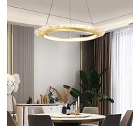 JQQJZLC Cercle Dimmable Pendant Light Fer et Acrylique Chandelier 3000-6500K LED Plage PROSITIQUE Minimaliste Suspension ÉCLAIR