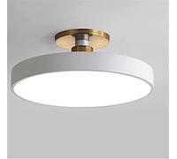 JQQJZLC Moderne Minimaliste en Acrylique à LED Lampe de Plafond de Plafond Les Lampes de lustres Ronds pour Le Salon Couloir Couloir d'éclairage d'anneau intérieur apparié