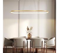 JQQJZLC Pendre d'or Ovale d'or Simple CHANDELIQUE LED LED Aluminum LED ALIMUNATION ÉCLAIR