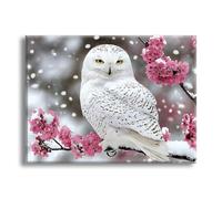 Jqynn Diamond Painting Fleurs Hibou Diamond Painting Adulte, DIY Kit Broderie Point de Croix, Activité Manuelle Adulte Kit, Peinture Diamant pour Débutants, Tableau Decoration Murale 70x100cm Z-l-407