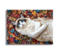 Jqynn Diamond Painting Papillon Chat Diamond Painting Adulte, DIY Kit Broderie Point de Croix, Activité Manuelle Adulte Kit, Peinture Diamant pour Débutants, Tableau Decoration Murale 30x40cm Z-l-359