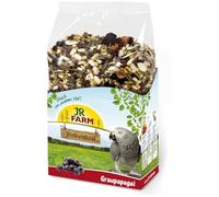 JR Farm Birds Individual Perroquet Gris du Gabon 950 g