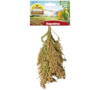 JR FARM Birds Millet panicule 100 g