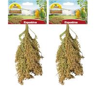 JR FARM Birds Millet panicule 100 g (Lot de 2)