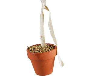 JR FARM Birds Pot d'argile pour perruches et canaris 80 g