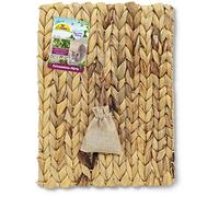 JR FARM Cat Bavarian Catnip Tapis d'herbe à Chat