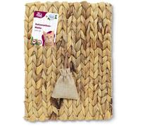 JR FARM Cat Bavarian Catnip Tapis d'herbe à Chat