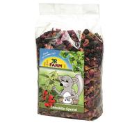 JR Farm Chinchilla Spécial 500gx6
