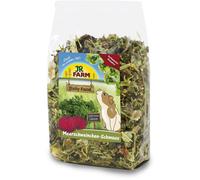 JR Farm Cochon d'Inde Festin 2,5kg