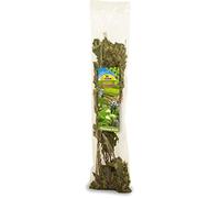 JR FARM ESN Récolte de Noisettes 40 g