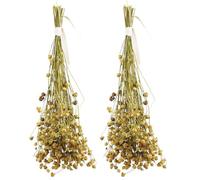 JR FARM Graines de Lin 30 g (Lot de 2)