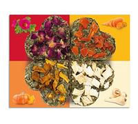 JR FARM Grainless Quartet porte-bonheur 60 g