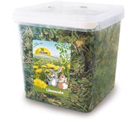JR Farm Pissenlit dans un seau de 5 l de 400 g