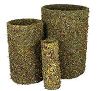 JR FARM Rouleau de Printemps Grand Format 750 g