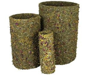 JR FARM Rouleau de Printemps Grand Format 750 g