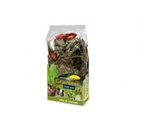 JR Grainless Plus Sauge & Pissenlit 100g