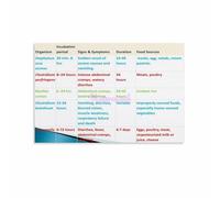 JRBJWYVV Prevent Cross Contamination Canvas Wall-Art Visual Guide for Food Preparation Areas Home or Business(Framed,16x24inch(40x60cm))