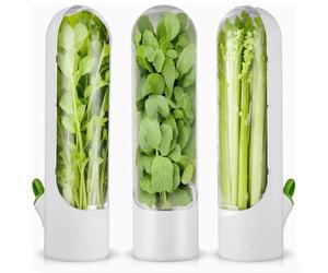 Jrifedptry Lot de 3 boîtes de conservation pour herbes fraîches pour réfrigérateur, boîtes de conservation pour coriandre, persil, asperges
