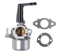 JRL 696065 Carburateur de remplacement avec kit de joint pour Briggs & Stratton