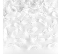 JRSHIRLEYLTD Lot de 220 plumes blanches moelleuses - Plumes décoratives blanches - Plumes naturelles - Pour boucles d'oreilles DIY, attrape-rêves, plumes de coiffure, Pâques, Noël