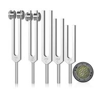 Jrudjsnhhty Ensemble de diapasons pour guérison 128 Hz, 136 Hz, 256 Hz, 384 Hz, 512 Hz et activateur de palet de hockey pour la guérison, la thérapie par le son, le maintien du corps