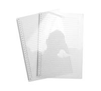 Jrudjsnhhty Lot de 2 pochoirs de calligraphie ligne droite 28 cm pour journal intime, enveloppe, guide de lettrage