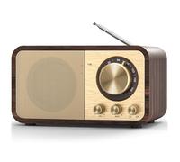 Jrudjsnhhty Radio FM avec réception, transistor portable Bluetooth avec haut-parleur 5 W, radios vintage rechargeables pour la maison et l'extérieur