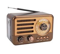 Jrudjsnhhty Radio portable rétro vintage Bluetooth haut-parleur FM/AM récepteur radio avec lampe de poche LED, prend en charge carte TF, USB, AUX Play