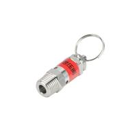 JRXFXEKW Soupape de Pression à Ressort en Acier Inoxydable 304, Filetage mâle BSPT 1/4", 3 Bars, 0,3 MPa