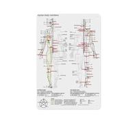 JRXFXEKW TCM Body Meridian Wall-Art - Five Elements Theory & Acupuncture Points Poster, Educational Decor for Clinic or Study(Framed,08x12inch(20x30cm))