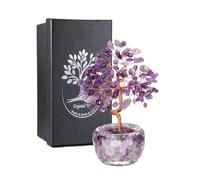 JSDDE Arbre de Vie en Pierres Naturelles Base en Verre Facetté Améthyste | Feng Shui Bonsai Arbre de Cristal Vase Bol Transparent Remplie Gemmes Tronc Courbé Bibelot Décoration Bureau Cadeau Femmes