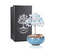JSDDE Bonsai Arbre de Vie en Pierres Naturelles Décoration Intérieure Feng Shui Arbre de Cristal Porte Chance avec Bol Céramique Pierres et Cristaux Reiki Guérison Porte Bonheur 12-13cm (Aigue-marine)