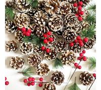 JSDJ Lot de 120 pommes de pin de Noël, baies et branches de pin, décorations d'hiver blanches ou loisirs créatifs, décoration d'intérieur, étiquettes cadeaux pour sapin de Noël, fournitures de fête, y