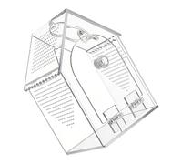 JSGHGDF Boîte d'habitat pour reptiles en acrylique transparent avec trous d'aération 12 x 12 x 20 cm pour reptiles et animaux domestiques et utilisation éducative Habitat à mouches en acrylique